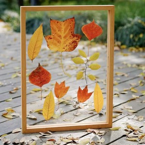 Khung gỗ ép Khung Hoa ba chiều sáng tạo hai mặt trong suốt <span class=keywords><strong>Acrylic</strong></span> handmade tự làm khung hình bằng gỗ - Product Image 2