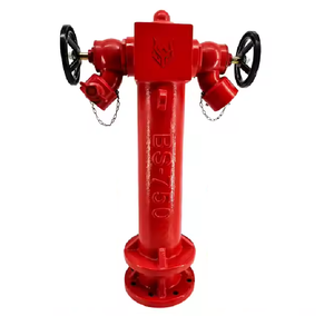 Fabricante de hidrantes secos contra incendios, hidrante de exterior de barril seco de 4 pulgadas para equipo contra incendios - Product Image 2