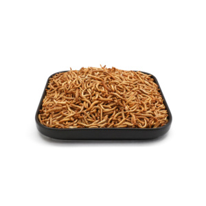 Ranova OEM להקפיא מיובש אוגר מזון וזוחלים מזון בתפזורת תולעי קמח קטן בעלי החיים מזון ספק - Product Image 2