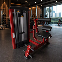 Nouvelle conception, équipement de fitness direct usine, machine d'extension abdominale/dorsale à charge par poulie pour salle de sport commerciale et usage domestique, avec garantie