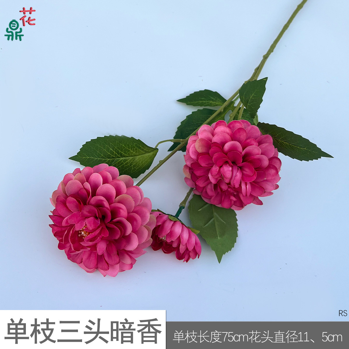 RS à tige unique, à trois têtes, subtilement parfumé, rose rouge