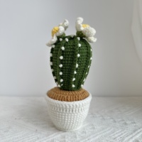 Plante en pot de cactus en coton fait main de qualité supérieure - Succulente artificielle durable et écologique pour la maison, Thanksgiving