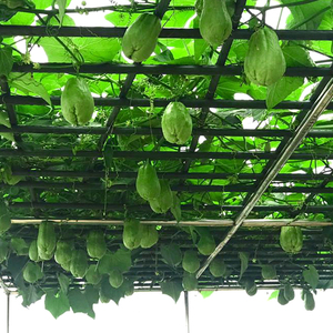 Cọc đỡ cây leo, cọc đỡ hoa, giá đỡ cà chua, cọc thép, cột nông nghiệp, trụ nhà kính, cọc vườn - Product Image 6