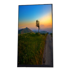 Panel LCD HE080IA-06B de 8.0 Pulgadas 800(RGB)*1280 (WXGA) 188PPI Pantalla LCD Económica para Tablet - Product Image 1