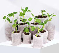 Vente en gros de sacs de pépinière de plantes noix Pots de culture de plantes non tissés Sacs de graines de plantes de semis biodégradables