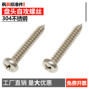 Tornillos autorroscantes Phillips de cabeza plana de acero inoxidable 304 M3.9 M4.8 para metal, rosca derecha, clase métrica 4.8 - Product Image 5
