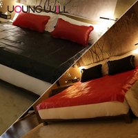 Ensemble de draps de lit gonflables en PVC vinyle imperméable de type BDSM pour adultes, hypoallergénique, anti-allergie, Young Will