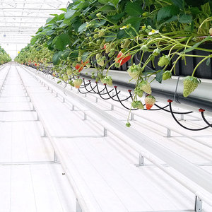 Toile <span class=keywords><strong>de</strong></span> paillage agricole noire <span class=keywords><strong>anti</strong></span>-UV en PE/HDPE/PP pour le contrôle des adventices - Product Image 5