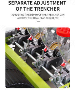 All'ingrosso, - Product Image 6