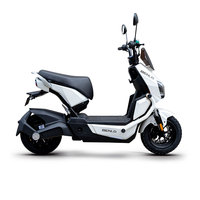 Sepeda Listrik 500W dengan Rem Tromol, 10 Ban Tubeless, Berat Bersih 52kg, Jarak Bebas dari Tanah 110mm, Jarak Sumbu Roda 1200mm, Tahan Lama