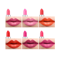 Maquillage pour les lèvres femme, 12 couleurs, rouge à lèvres mat longue tenue, imperméable, gloss à lèvres pas cher, rouge à lèvres personnalisé
