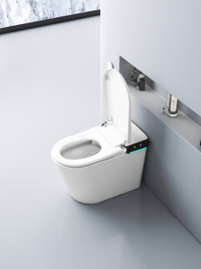 Роскошный современный цельный керамический унитаз с умным биде - Product Image 5