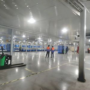 Grand congélateur de chambre froide Capacité de dix mille tonnes utilisée pour les industries agricoles <span class=keywords><strong>Prix</strong></span> compétitif Caractéristique du compresseur Bitzer - Product Image 1