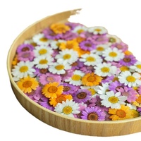 Kristal Krisan Risen DIY Akrilik Lucite Bunga Daisy Kecil Asli Gaya Hutan Peri Super Perhiasan Mata Domba Grosir
