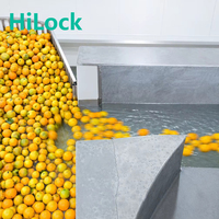 Ligne de traitement automatique clé en main pour jus d'agrumes, usine de production de jus d'orange NFC, machine d'extraction de jus de fruits