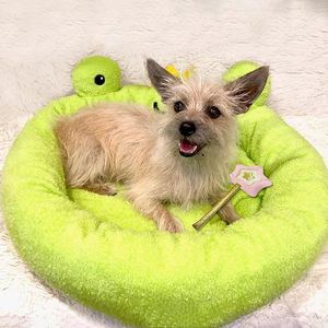 2024 tasarımcı yeni lüks moda yeşil peluş kurbağa prens köpek yatağı karyolası gri taşınabilir çift yüzlü pet yatak için açık - Product Image 4