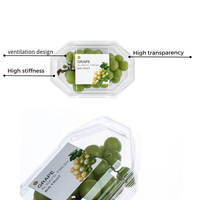 Boîtes à fruits et légumes en gros, contenants alimentaires, boîtes à fruits en plastique jetables