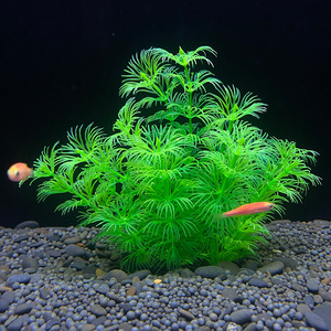Aquarium Plants Manufacturers China Trade,Buy China Direct From Aquarium  Plants Manufacturers Factories at Alibaba.com