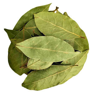Daun Salam Kering Berkualitas Tinggi, Rempah Dapur, Daun Laurel, Harga - Product Image 1