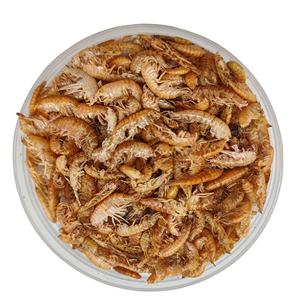 AquaV-soporte personalizado de alta calidad, alta protección, gammarus para peces - Product Image 1