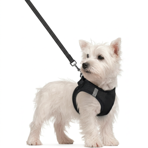 Custom Dog Harness With Leash Set Fast Drying Puppy Vest Adjustable Leash Reflective Stripes <b>Step</b>-In Breathable Mesh Dog Harness - Product Image 1