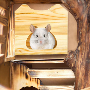 Casa de Chinchilla de madera, cabaña de escondite de animales pequeños naturales para Chinchilla, ardilla, planeadores de azúcar en jaula - Product Image 4