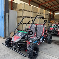 Buggy tout-terrain professionnel à essence 2 places pour adultes, avec châssis anti-roulis, capacité de charge de 200 kg