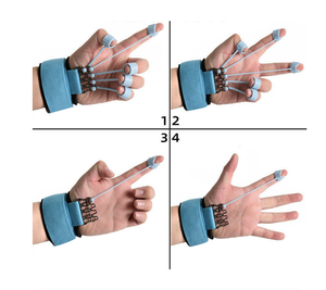 Appareil d'entraînement pour la flexion et l'extension des doigts - Améliore la force et la flexibilité des doigts - Renforcement musculaire pour le yoga - Product Image 2