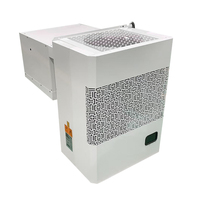 Unité de réfrigération et de condensation monobloc murale pour compresseur de chambre froide
