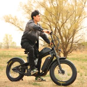 Moto électrique pour adultes, Kawasaki d'occasion, Bicicleta Electrica, Vélo électrique, Kugoo Wish 01, <span class=keywords><strong>Fatbike</strong></span>, Vélo de montagne électrique - Product Image 5