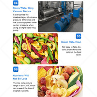 Orme Lage Temperatuur Vacuüm Frituurmachine Mini Banaan Chip Vacuüm Olie Friteuse Machine Prijs