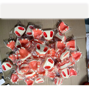 แบบจำลอง<span class=keywords><strong>ก</strong></span>ารยกโพรงไซนัสบนกราม - อุปกรณ์ฝึกอบรม<span class=keywords><strong>ก</strong></span>ารตรวจทางการแพทย์และ<span class=keywords><strong>ก</strong></span>ารฝังรากเทียมสำหรับการ<span class=keywords><strong>ฝึก</strong></span>ปฏิบัติทางทันต<span class=keywords><strong>ก</strong></span>รรม - Product Image 6