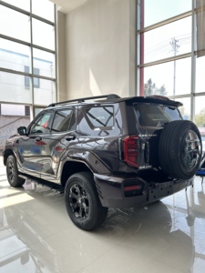 GWM Tank 400 SUV Hybride 2024 Véhicule à Énergie Nouvelle SUV Hybride Robuste 2.0T Hi4-T Great Wall Motor Tank400 - Product Image 5