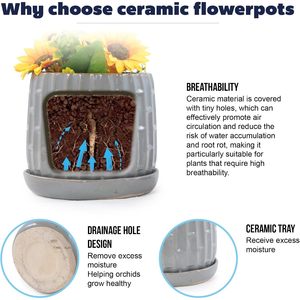 Pots de plantes en céramique avec soucoupe, 6 à 8 pouces, gris glacé, texture bambou, utilisation intérieure et extérieure - Product Image 5
