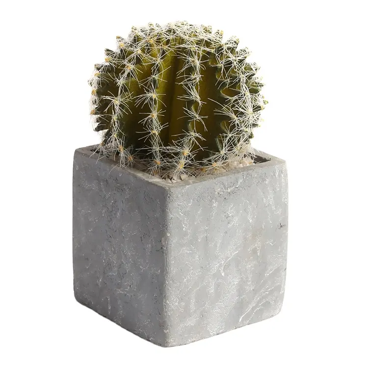 Prix bas En Gros Mini Table Décor Artificielle Faux Plantes Cactus Bonsaï