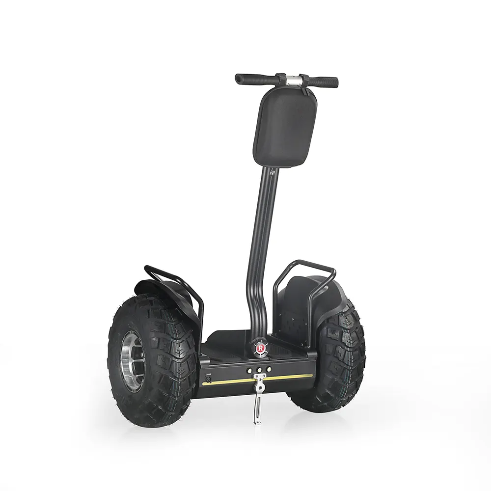 2019 fashion 19 inch fat tire two wheel electric chariot,golf electric scooters