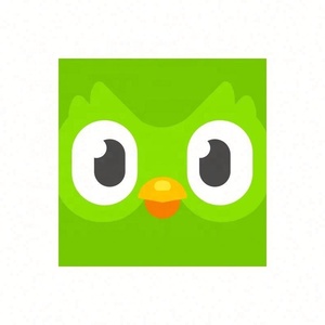 Cuenta Premium Duolingo Pro 1 Año, Activa Tu Propia Cuenta, Aplicable Globalmente en Todo el Mundo - Product Image 3