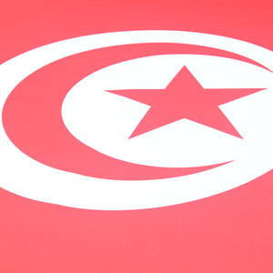 Housse de capot de voiture personnalisée en gros, motif drapeau national de la <span class=keywords><strong>Tunisie</strong></span> pour le jour de match de football mondial, décoration de voiture - Product Image 2