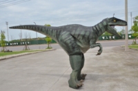 Costume de dragon réaliste grandeur nature pour adulte, costume de dinosaure pour fête, costumes de dinosaures personnalisés