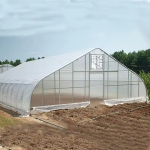 Serre en verre en acier galvanisé, structure de jardin élégante, décoration de mariage, serre pour événements et horticulture - Product Image 1
