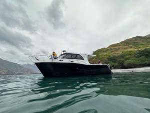 Barco de aluminio <span class=keywords><strong>Gospel</strong></span> 8,8 M 29ft CE certificado catamarán barco de pesca grado marino ocio Barcos de crucero precio de fábrica - Product Image 6