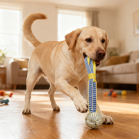 Jouet pour chien en corde de polyester écologique qui brille dans le noir, jouet à mâcher lumineux, nettoyage des dents, durable, interactif, moderne, luxe, intérieur