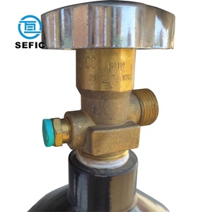 Co2 tp250 CO2 xi lanh thép <span class=keywords><strong>carbon</strong></span> <span class=keywords><strong>dioxide</strong></span> Tank 13.4l/20L/40L/47L/50L chất lượng để bán - Product Image 2