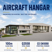 Hangar pour avions privés, structure en acier, bâtiment aéronautique, stockage d'avions, installation aéroportuaire, conception sans colonnes