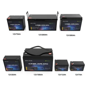 Lithium ion battery 12v 7Ah 10Ah 20Ah 30Ah 50Ah 75Ah 100Ah 150Ah 200Ah 300Ah Lifepo4 battery