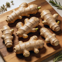 Gingembre frais naturel jeune de haute qualité, origine Shandong Anqiu, piquant, 20 kg, marque OEM, durée de conservation de 6 mois, pour la vente en gros