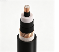 Câble de moyenne tension Zhongkai N2XS2Y 6/10(12)kV 1*50mm² en cuivre XLPE avec gaine MDPE pour centrale électrique souterraine