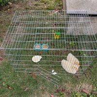 Cages robustes pour coqs de combat de 70 x 70 cm