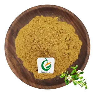 ISO Approved Manufacturers Bacopa monnieri leaf 20% bacosides Bacopa Monnieri Extract