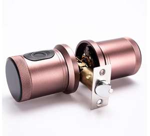 Vente en gros de serrure intelligente biométrique à empreinte digitale de haute sécurité bouton à <span class=keywords><strong>loquet</strong></span> unique compatible WiFi pour nuage de porte en acier, verre et aluminium - Product Image 1